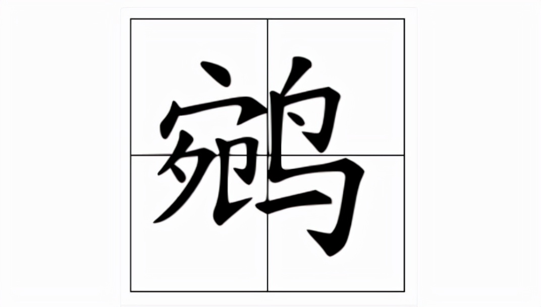 “鹭”与“鹓”的正确读音及释义解析