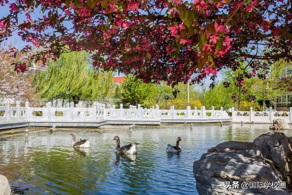 国际学校每日推荐 | 名校直通车：海淀外国语实验学校国际部