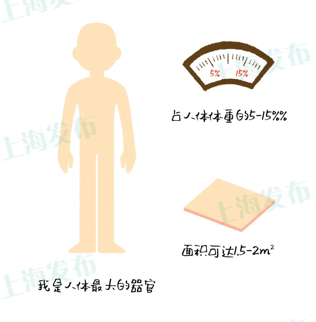 护肤品过敏原因及应对方法