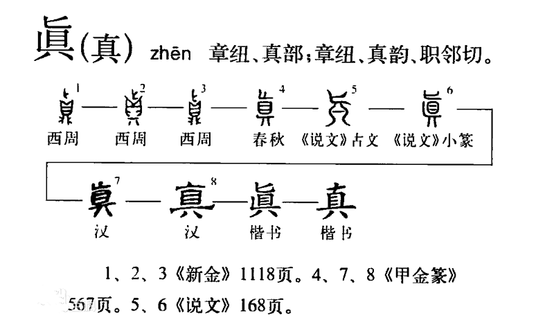 质数，因数，自然数，完全数，平方数