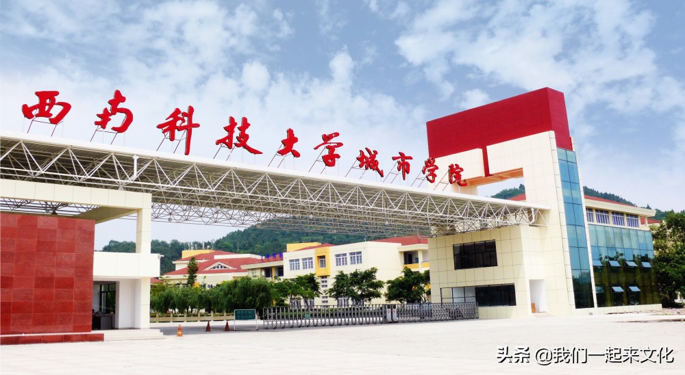 西南科技大学城市学院怎么样?就业前景(图3)