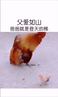 搞笑GIF: 老弟，人群之中你为何是如此优秀