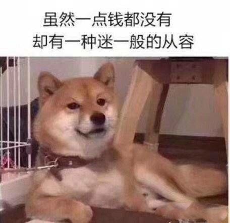 表情包：虽然一点钱都没有，却有一种谜一般的从容