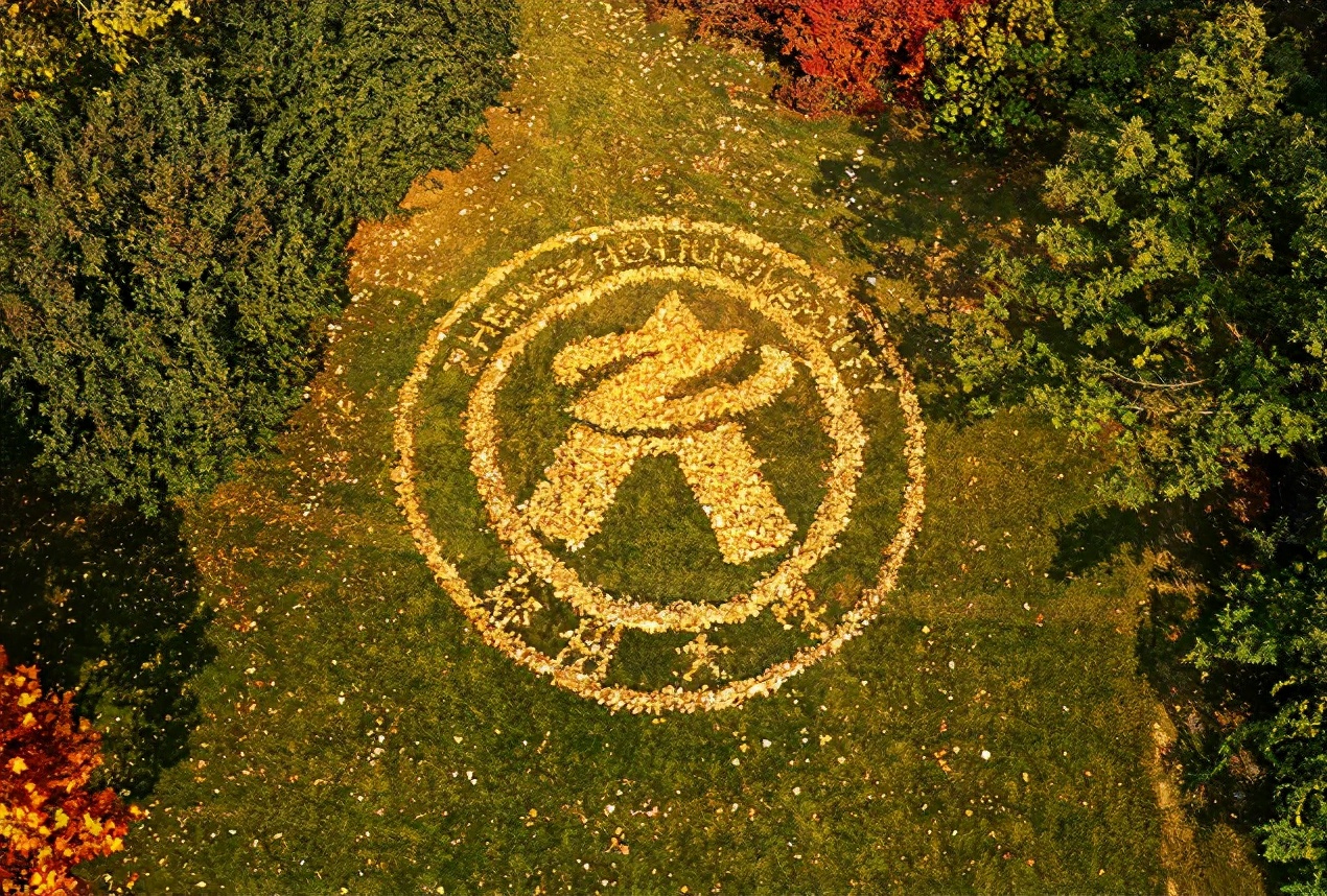 2021年河南省高考分数线出炉！附郑州大学近三年录取分数线！