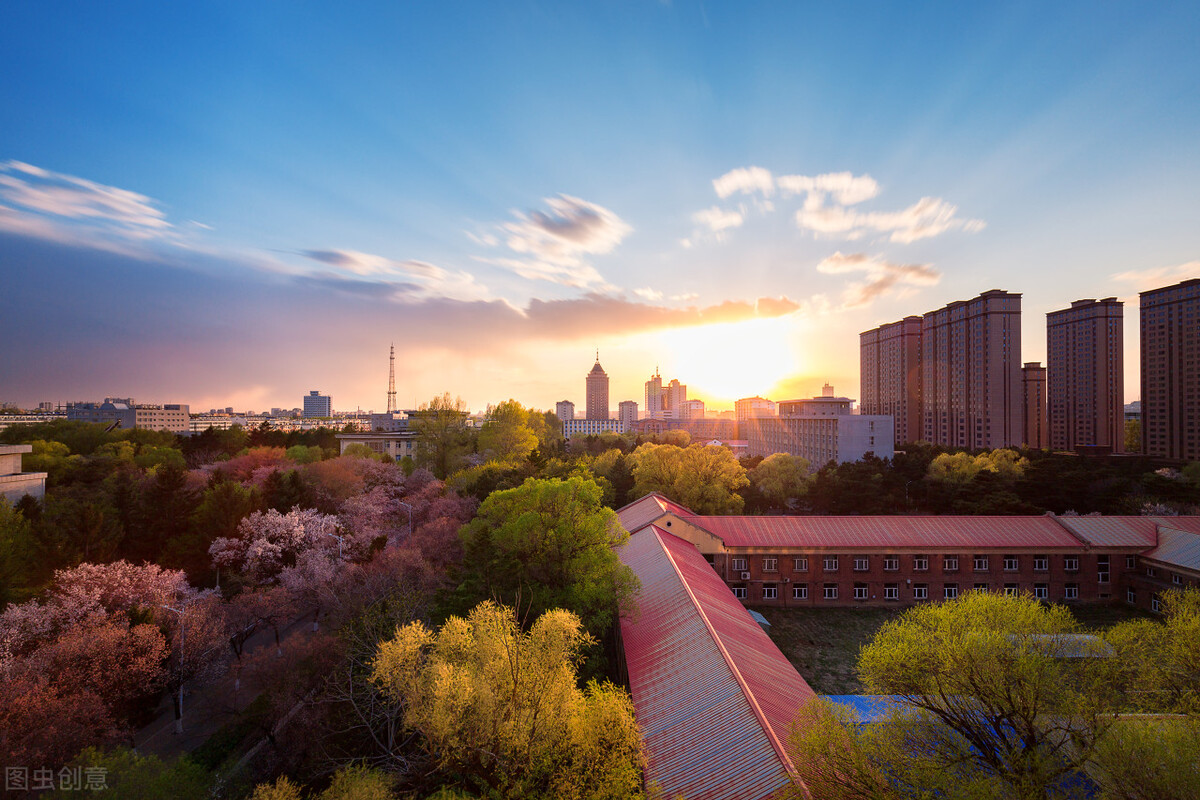 这四所大学研究生人数多，每年招录数量多，但仅适合成绩好的孩子