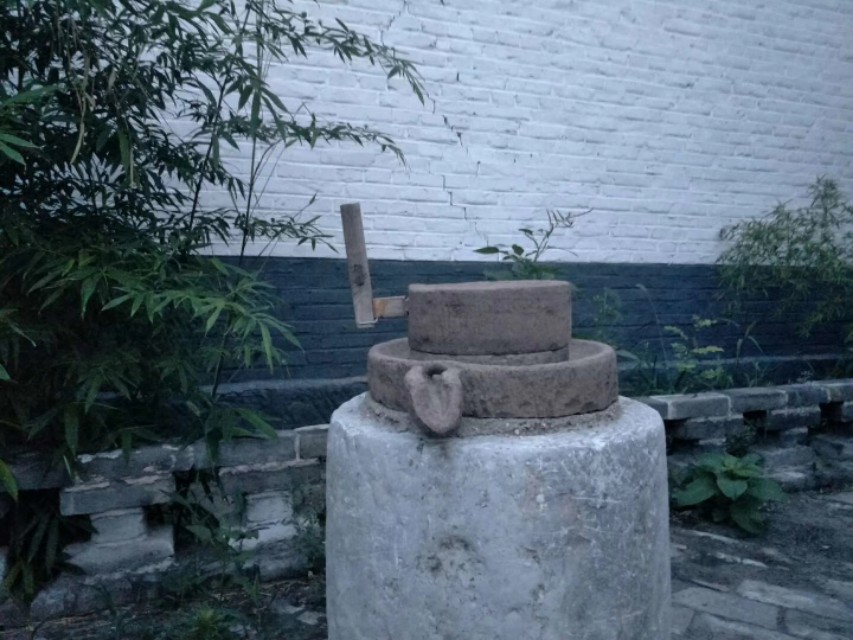 年轮跌更，脆灵的枣树老了；风霜雨雪，坐在枣树下的妈妈也老了