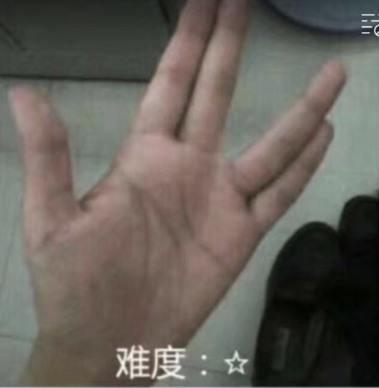 世界十大最难手势挑战：从复杂手语到极限柔韧性考验