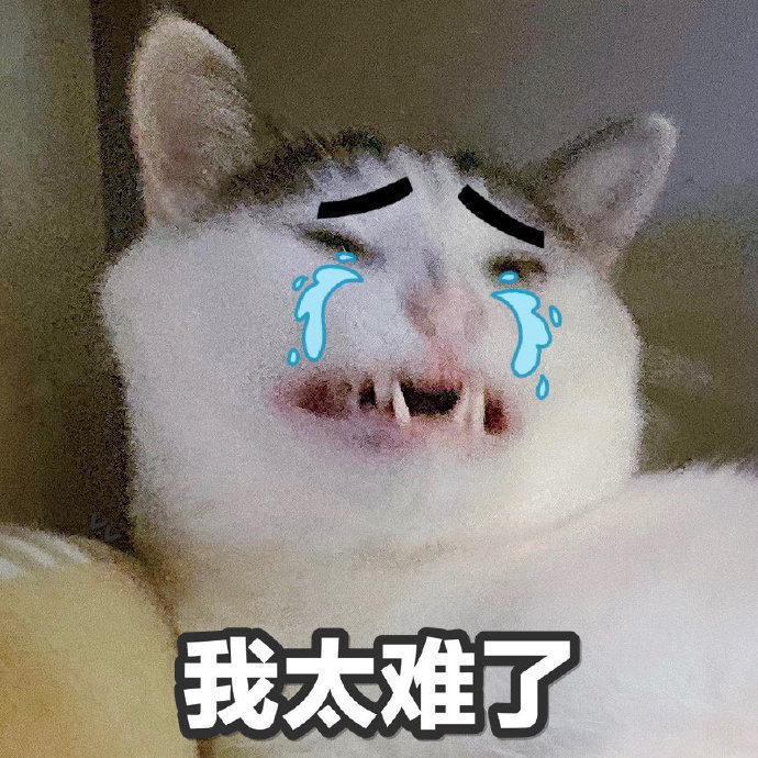 猫咪表情包合集我太难了