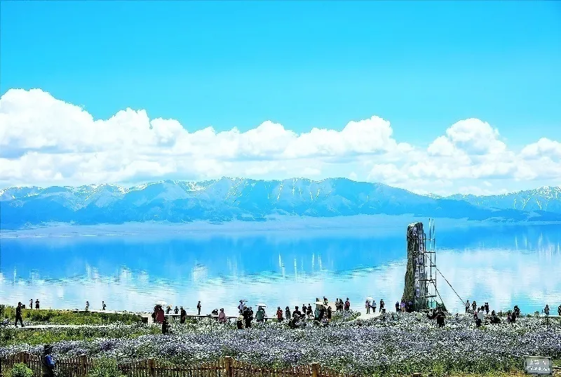 深度还原成都49中学生坠亡事件丨浙江衢州一凉亭垮塌,4人遇难