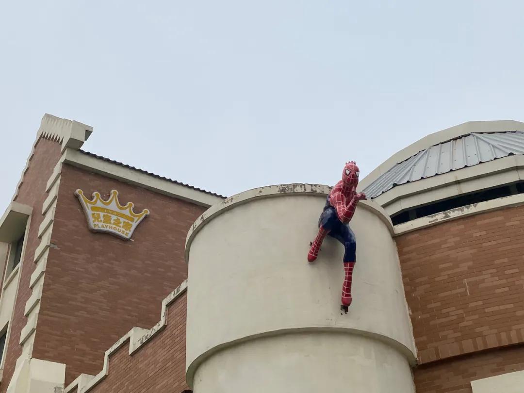 长春“蒙氏教育”究竟怎么样？让教育管理博士给你说说