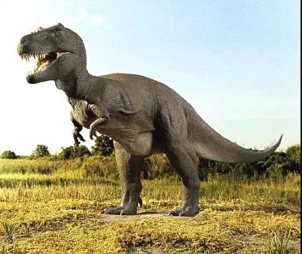 全新详细版——史上最强十大食肉恐龙排名