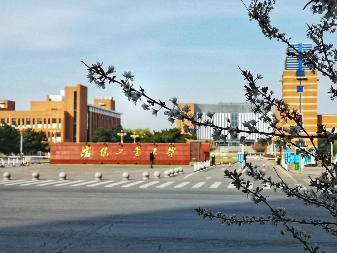 2021月收入最高的专业揭晓！这所大学10个专业强势上榜！