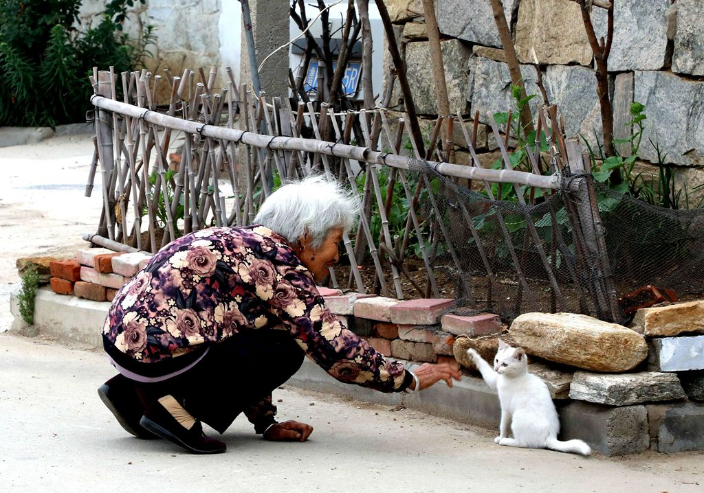 盘点中国5大“土猫”，你都认识吗？