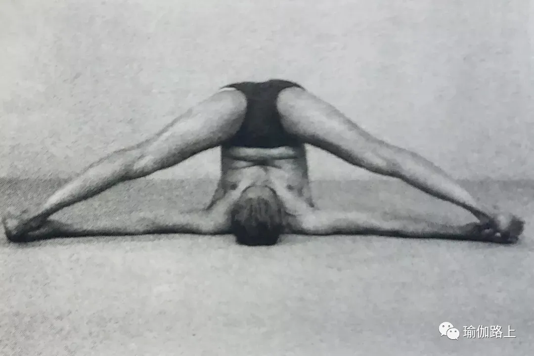 艾扬格密集一 | 32 个经典体式 & 2 大呼吸法经典示范图