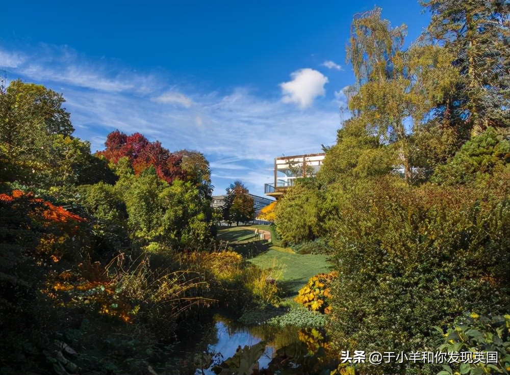 南安普顿大学 为什么能成为2022QS世界排名黑马选手？