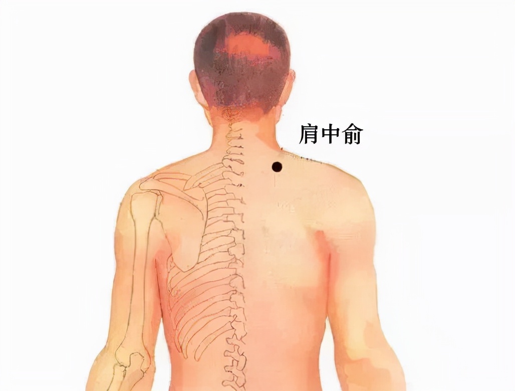 倪海厦：针灸之肩外俞与肩中俞，颈椎肩周疼近取穴一针灵