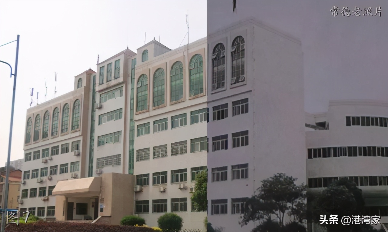 湖南文理学院老照片：T3，运动会，图书馆，林荫路，师专