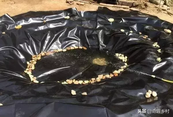 院子里应该有个小池塘，没有就自己动手挖个！（附实际操作图）