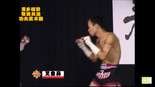 动画教学17招古泰拳必杀技，招招凶狠，练熟了就是你的自卫绝招