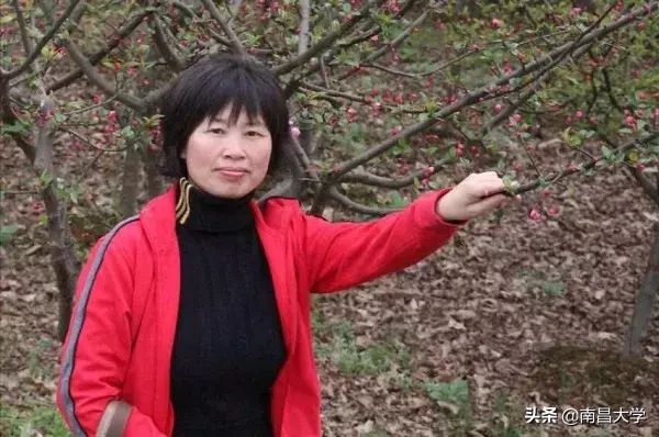 喜报！南昌大学附属中学高考成绩再创佳绩