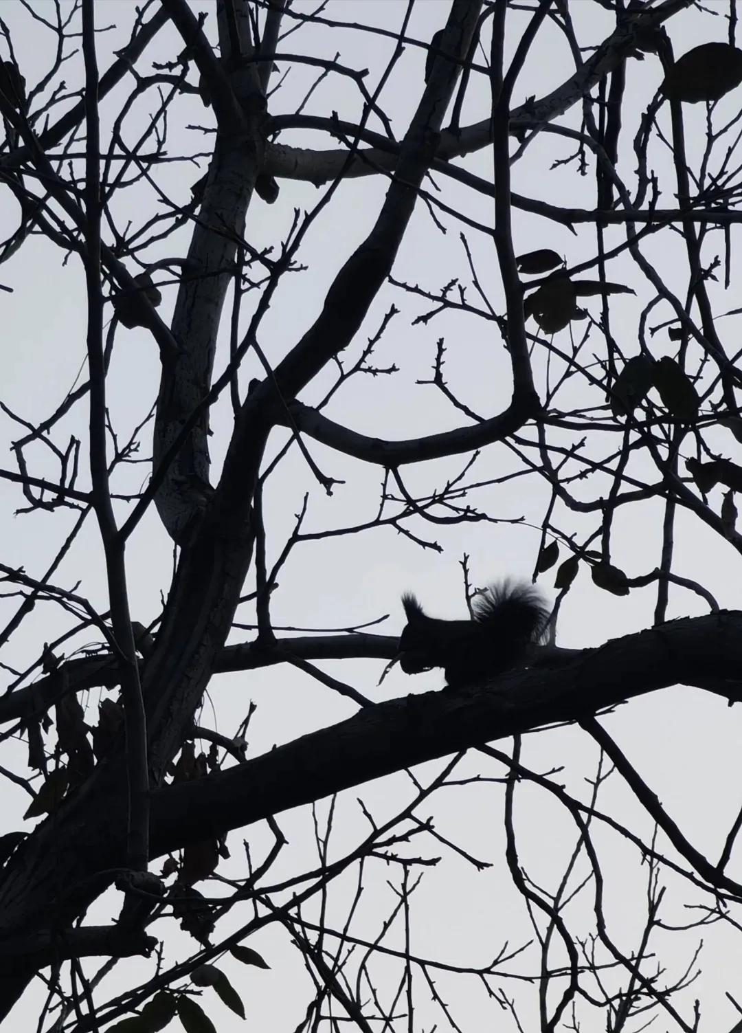 属于你我的，山师四季