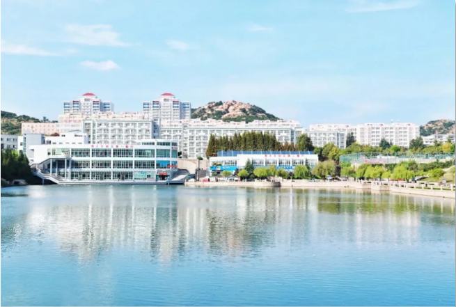 实力硬核！短短一个月，山东这所高校狂揽近30项大奖！