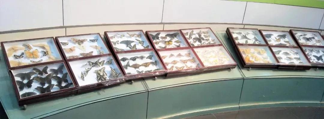 曝光！这些关于南京师范大学的