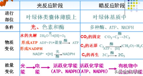 高考理综生物拿不了满分？你肯定是方法没用对！