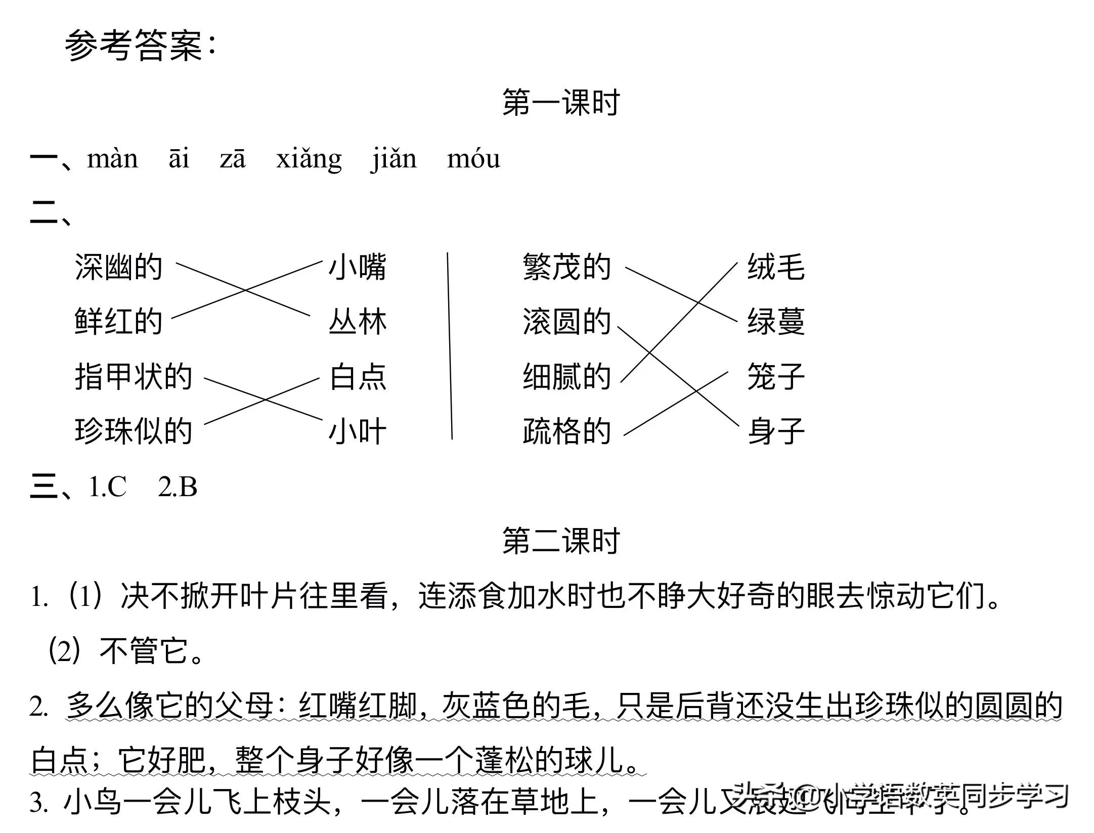 小学语文五年级上册第四课《珍珠鸟》超详细课文笔记、预习复习