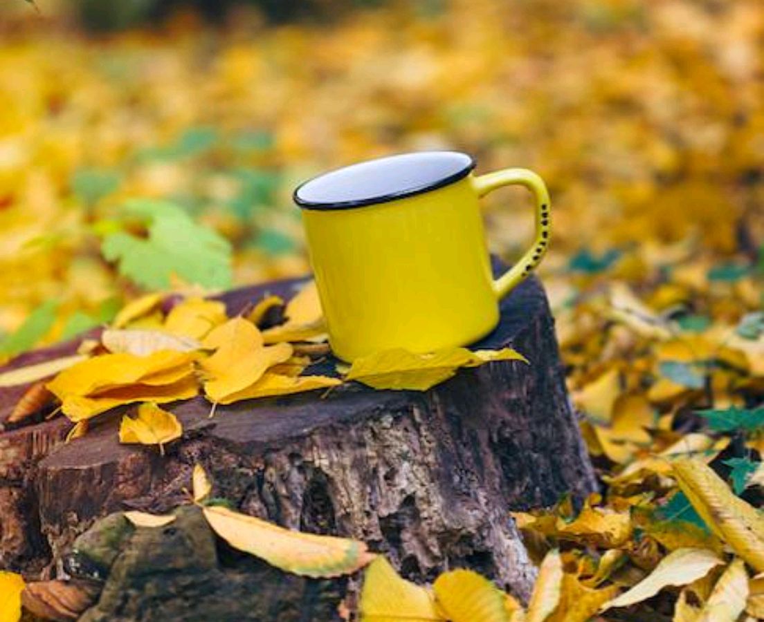 散文：一怀秋之私语，一杯午后的咖啡(咖啡情感励志文学)