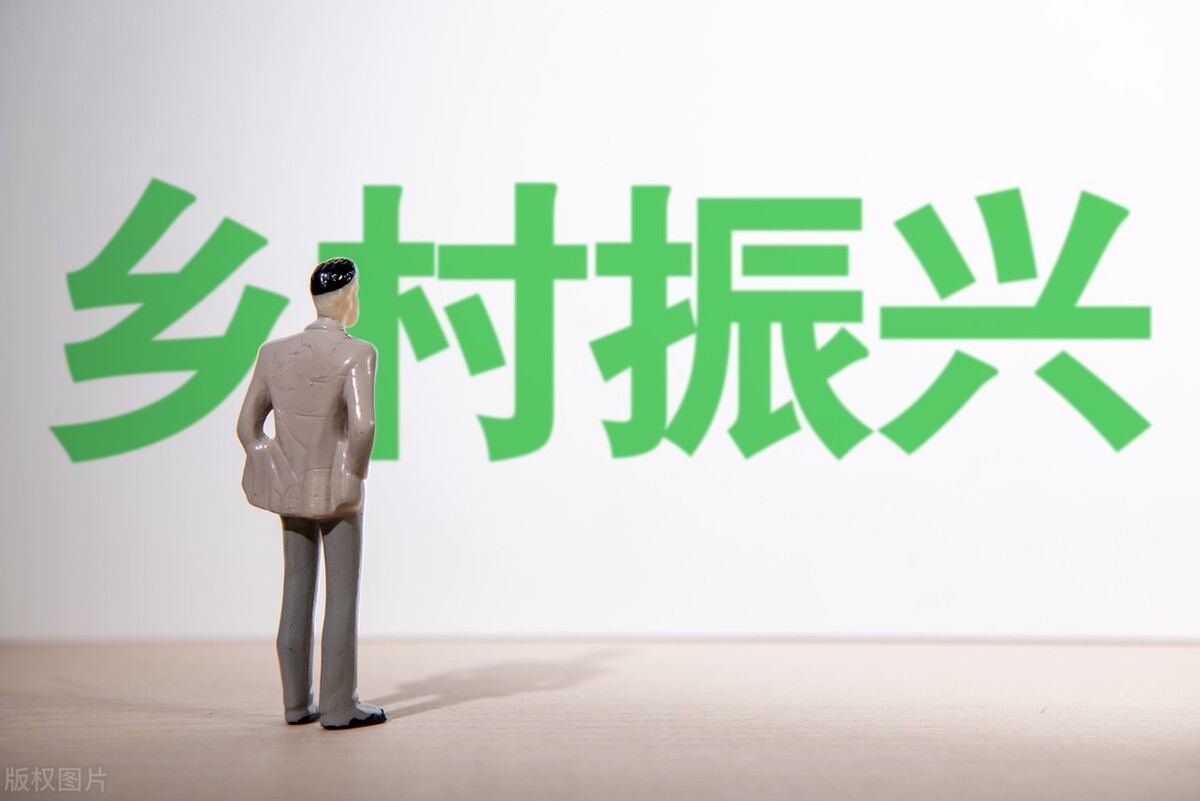 和数软件：区块链+乡村振兴，区块链将如何改变乡村面貌？