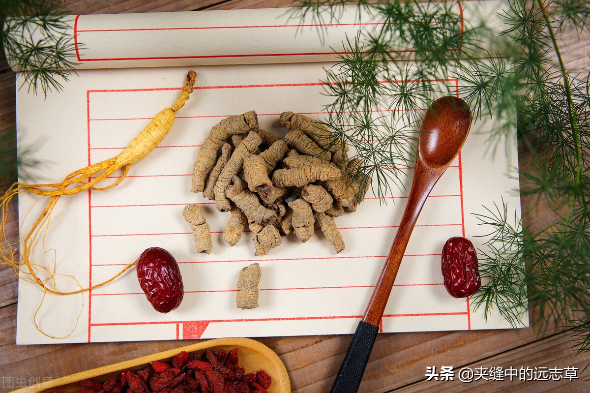 阴阳两虚，脾肾不足？一剂还少丹，阴阳双补，补脾益肾，交通心肾