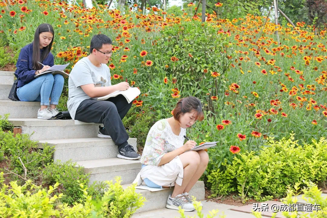 花开的季节·一起爱上文理