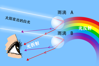 彩虹的颜色是哪七种颜色（一文了解彩虹的7种颜色）