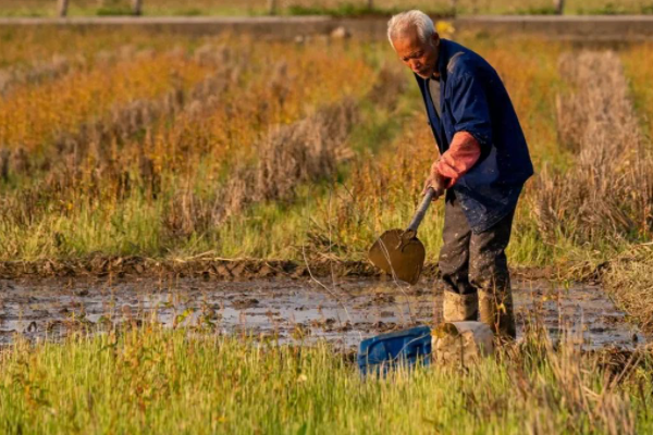 江西官宣！农民可免费上大学，只需满足4个条件，已经开始报名啦
