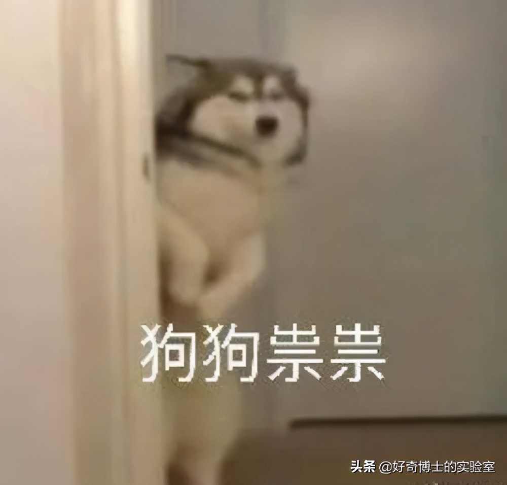 11个奇奇怪怪的隐藏玩法（含撩妹教程）