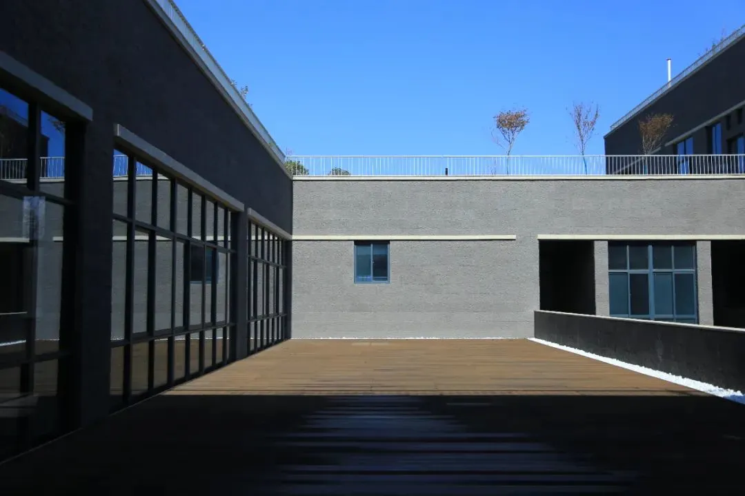 这2所美术学院在2021年相继启用新校区，招生人数将会大幅度提升