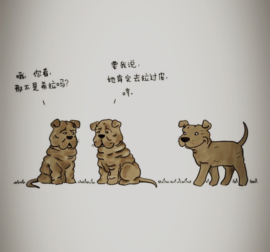 《你今天真好看》丨让大象、兔子、乌龟、蛇治愈你的不开心