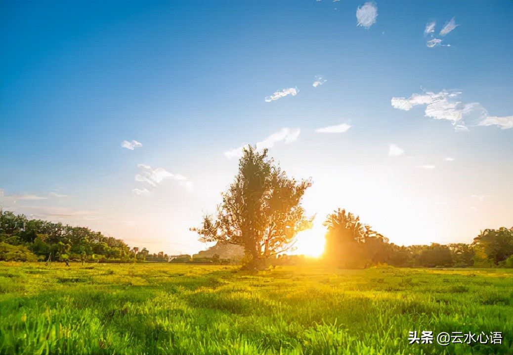 两首描写闲步的五律，恬静悠闲，读完让人忘记了烦忧