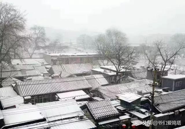 红墙，白雪，琉璃瓦，大雪压青松