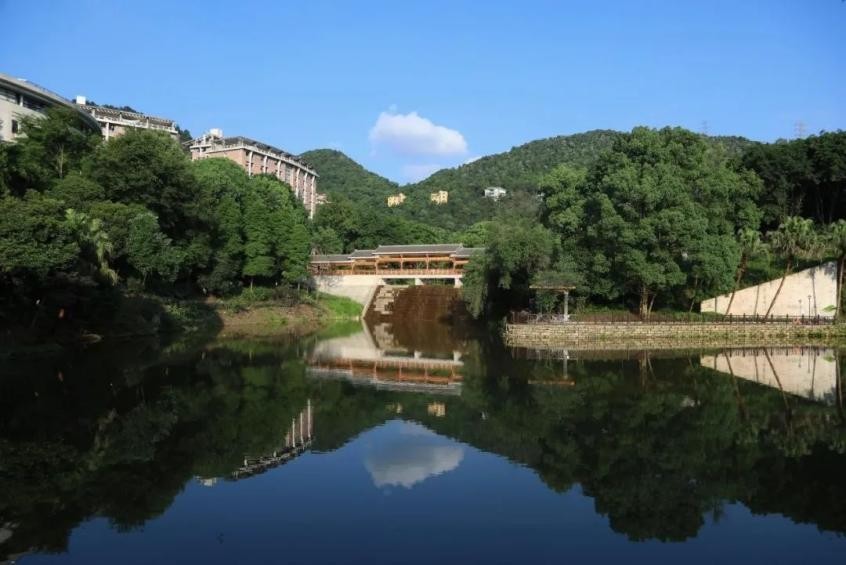 重庆哪个学校校鸡多（重庆超豪华大学）