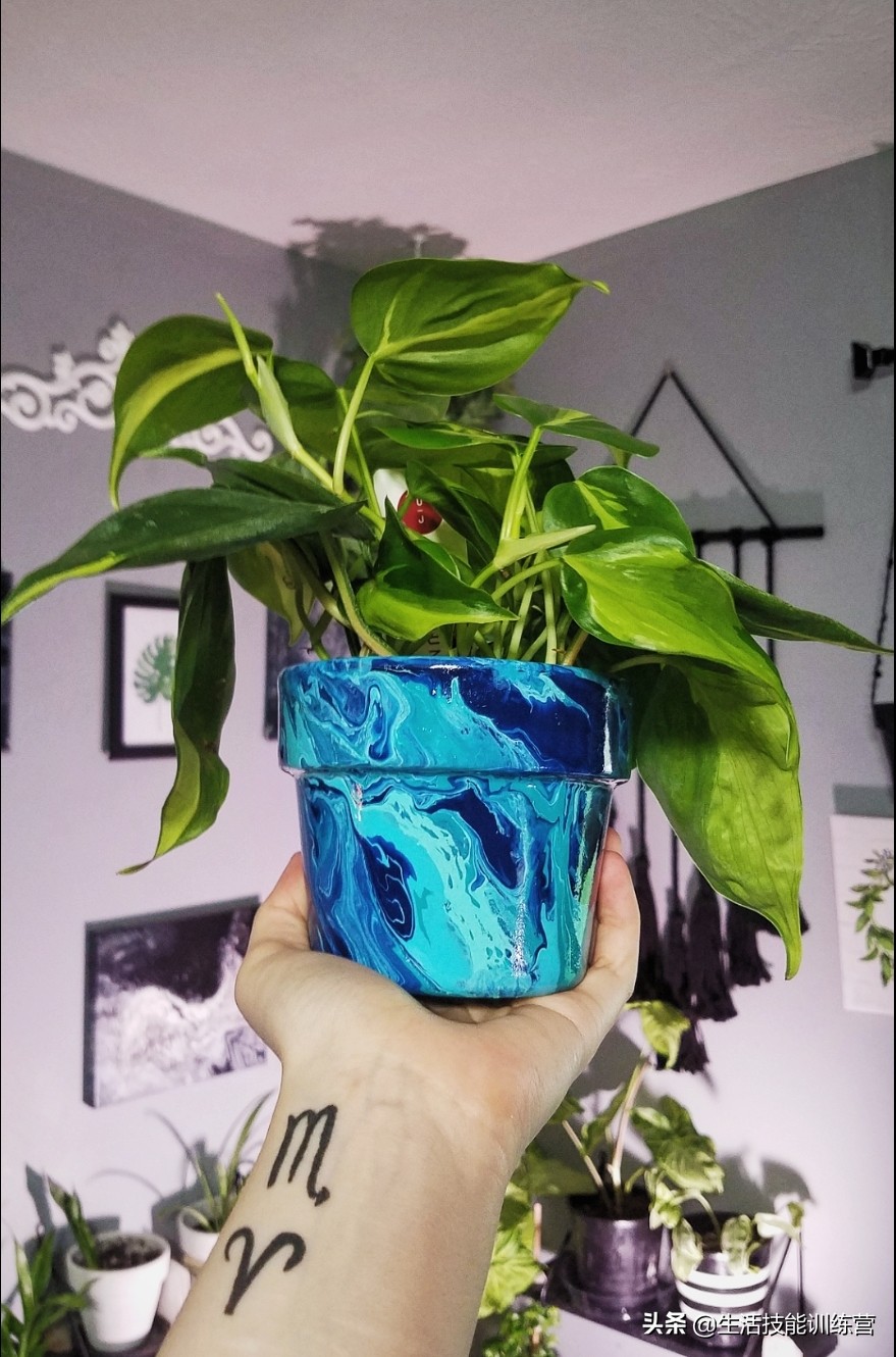 羡慕了吗？网友们晒出收到或送出的30个父亲节礼物