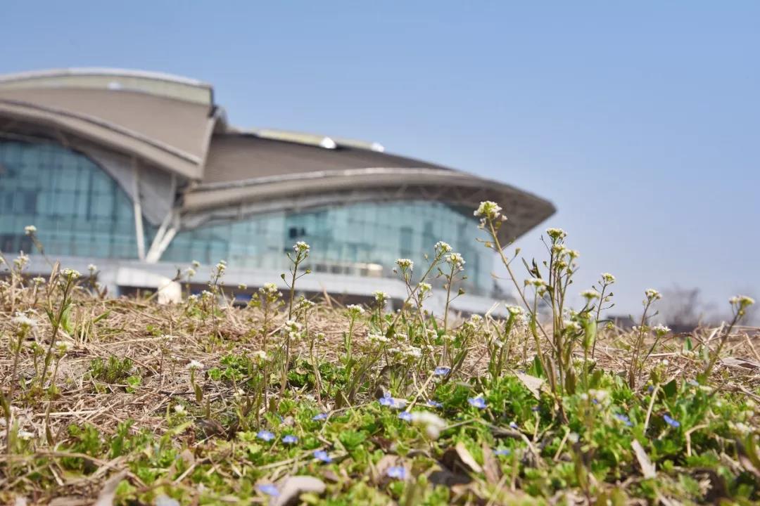 坐拥三大校区，占地2655亩，培养超30万精英，十个理由让你爱上山东这所高校！