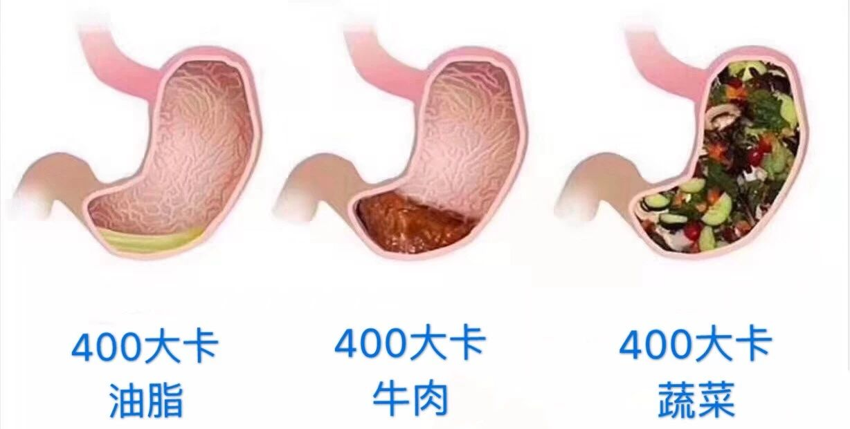 减肥蔬菜排行榜：十种低卡高纤维蔬菜助你轻松瘦身