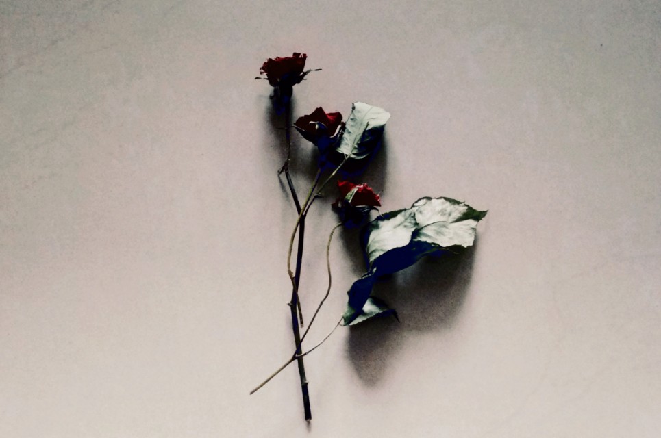 全国中小学生创新作文大赛特等奖作品10篇，满分作文的范文