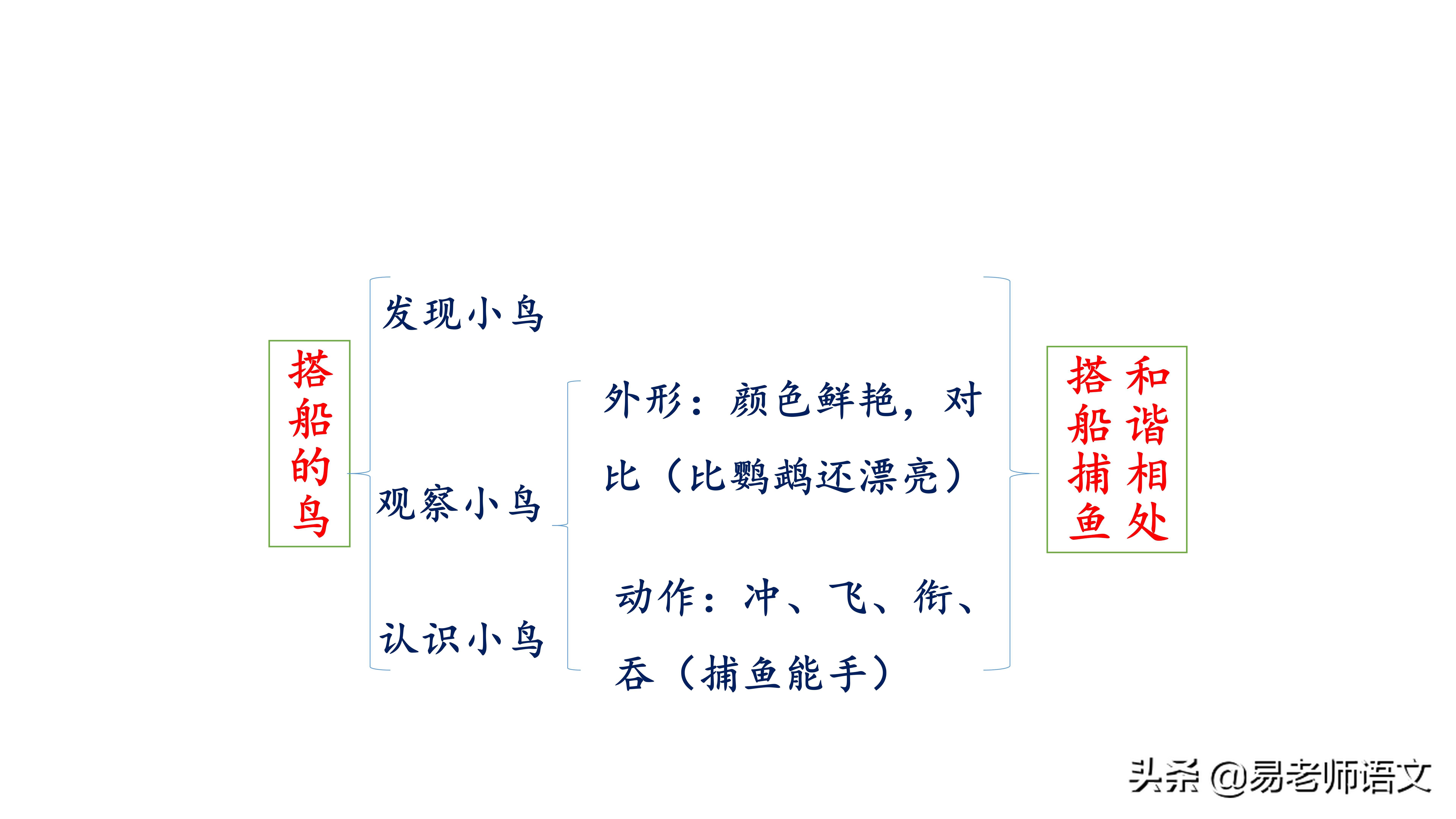 小学语文三年级上册第15课《搭船的鸟》课文笔记