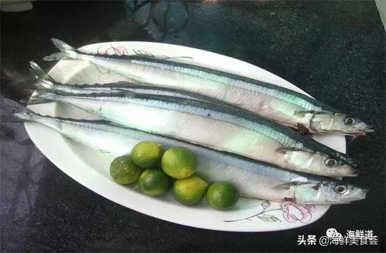 市场常见的102种海鲜，肉质鲜美，营养丰富，你们吃过几种？