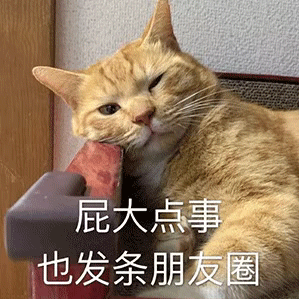 表情包：我要发些什么 让你觉得 我在朋友圈过得很快乐