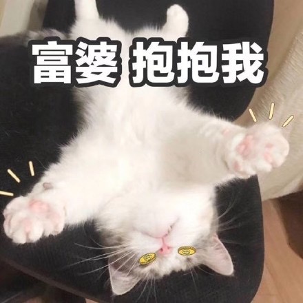 猫咪表情包：发出反派的笑声、富婆抱抱我