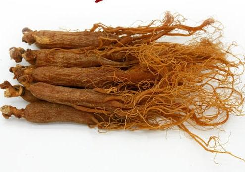 人参又名“人身”，与人齐寿；如何补身体，《神农本草经》说过了